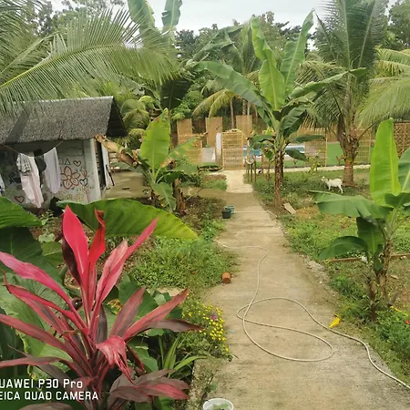 Jungle Villa
