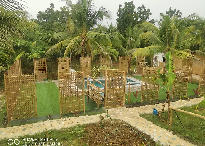 Jungle Vakantiehuis *